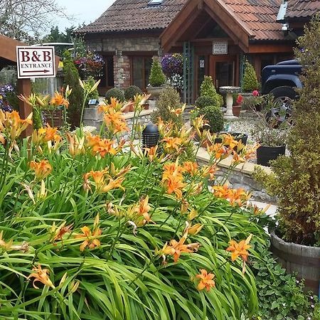 Bridge Farm Guesthouse Rooms Dundry Екстериор снимка