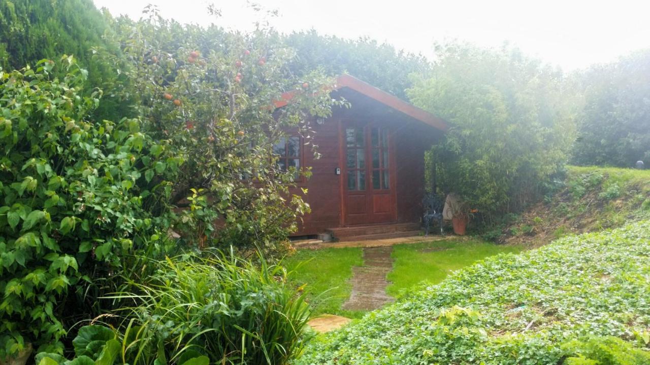Bridge Farm Guesthouse Rooms Dundry Екстериор снимка